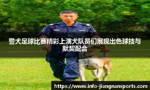 警犬足球比赛精彩上演犬队员们展现出色球技与默契配合